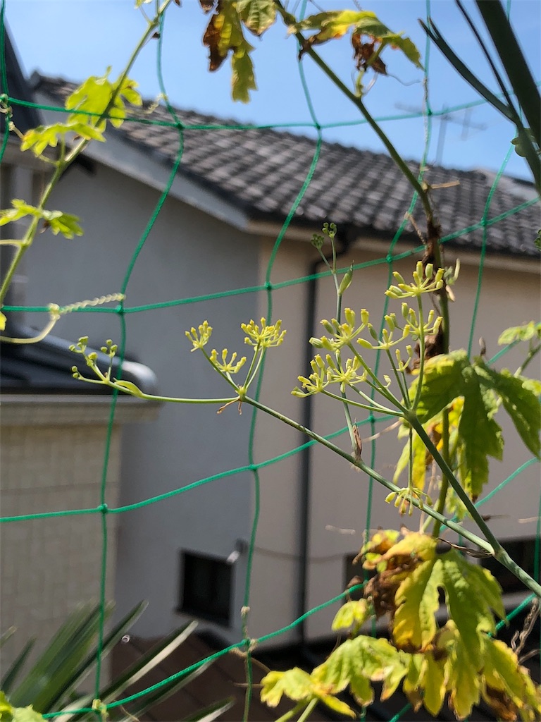 f:id:mikakanan:20180917190356j:image f:id:mikakanan:20180917190356j:image