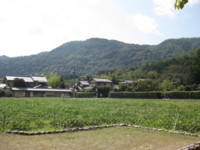 f:id:mikaki_molly:20111007103944j:image