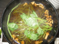 f:id:mikaki_molly:20111008130120j:image