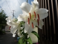 20100717083114