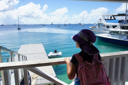 f:id:mikamikamika:20151031131936j:image f:id:mikamikamika:20151031131936j:image