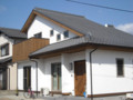 20090206113411