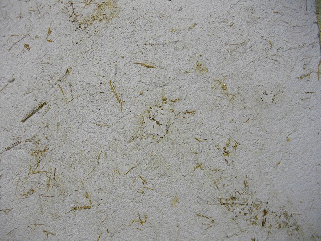 f:id:mikamsmatuuu:20110817153226j:image