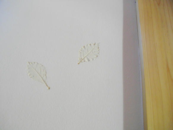 f:id:mikamsmatuuu:20110817153307j:image