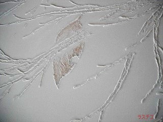 f:id:mikamsmatuuu:20121013103203j:image