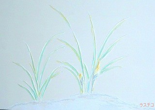 f:id:mikamsmatuuu:20121013111014j:image