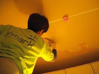 f:id:mikamsmatuuu:20121119111607j:image