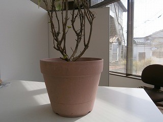 f:id:mikamsmatuuu:20130308174443j:image