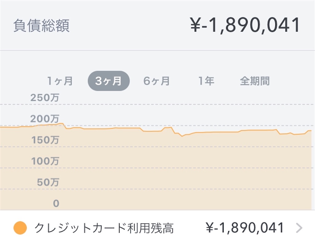 アラフォー蜜柑姉さんの借金200万円返済ブログ