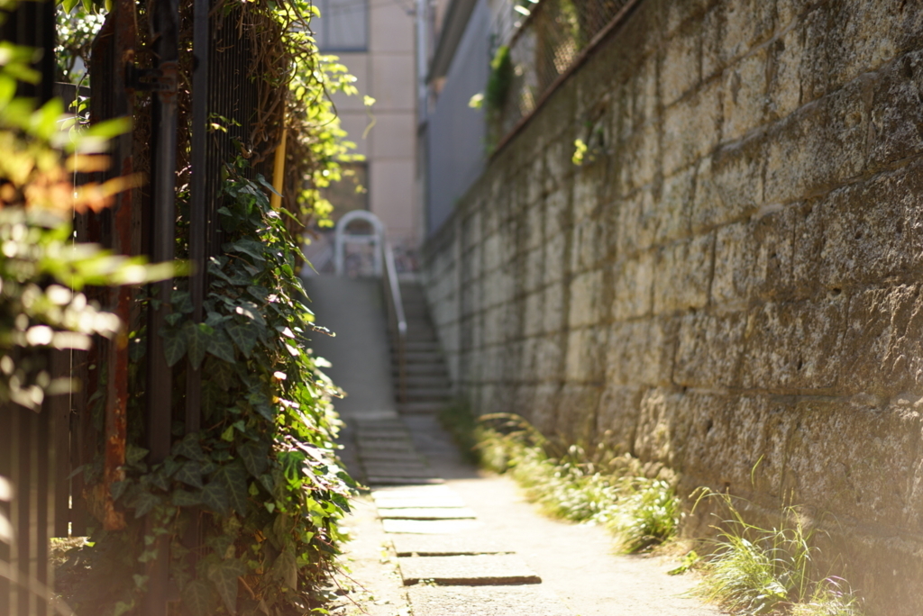 f:id:mikan204:20180420121758j:plain f:id:mikan204:20180420121758j:plain