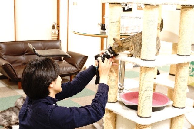 f:id:mikan204:20181130071636j:image f:id:mikan204:20181130071636j:image