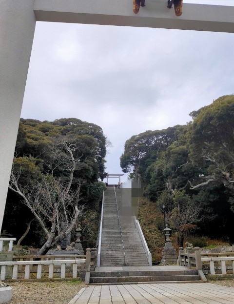 f:id:mikan39882:20250126124847j:image f:id:mikan39882:20250126124847j:image