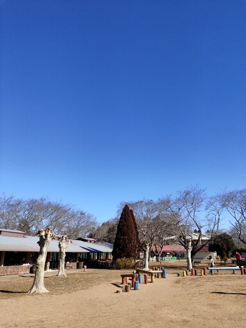 f:id:mikan39882:20250209145403j:image f:id:mikan39882:20250209145403j:image