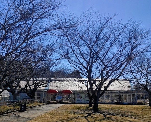f:id:mikan39882:20250209152136j:image f:id:mikan39882:20250209152136j:image
