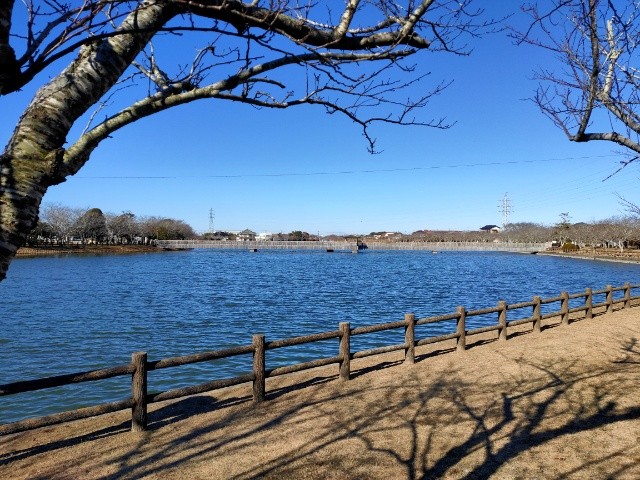 f:id:mikan39882:20250214214957j:image