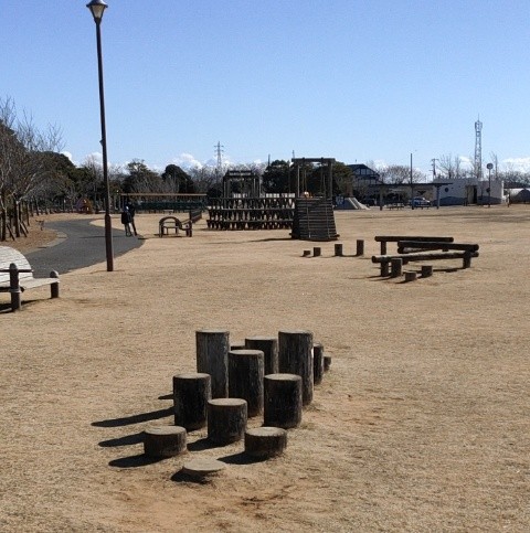 f:id:mikan39882:20250214215851j:image