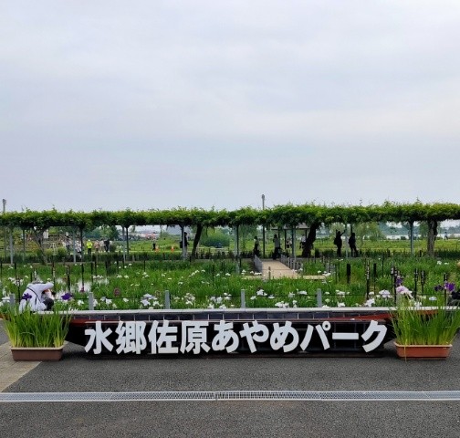 f:id:mikan39882:20250620212354j:image