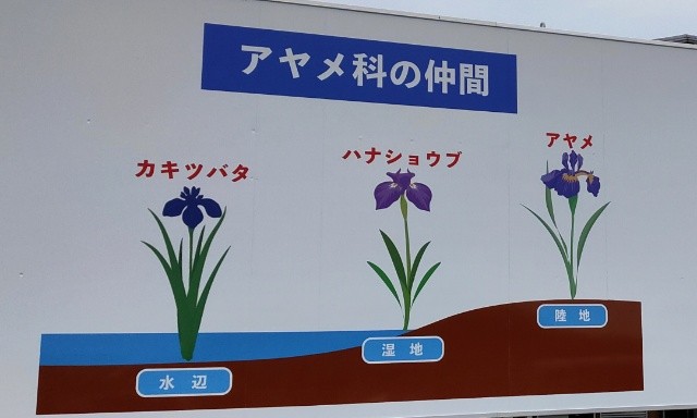 f:id:mikan39882:20250621211506j:image