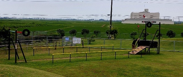 f:id:mikan39882:20250621213219j:image