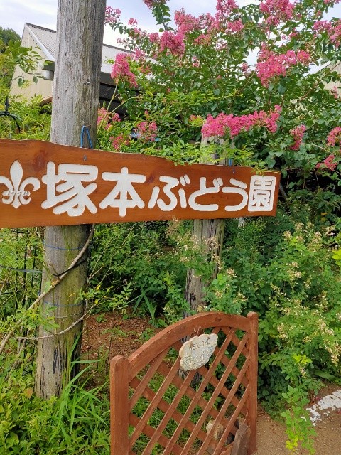 f:id:mikan39882:20250817210743j:image f:id:mikan39882:20250817210743j:image