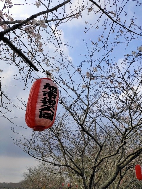 f:id:mikan39882:20260331213505j:image