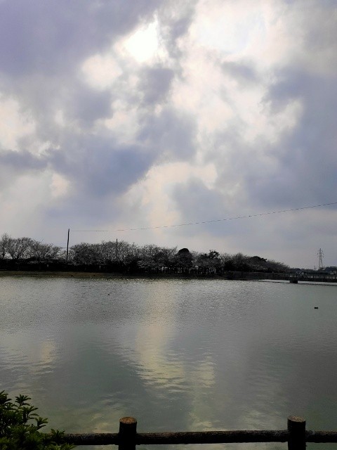 f:id:mikan39882:20260331214059j:image