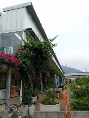 千葉県南房総市　房総半島最南端に行ってみた（その一）（2026年9月）