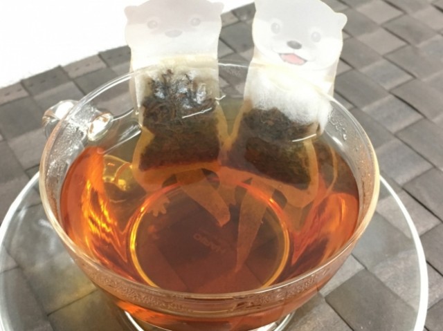 f:id:mikancyama:20190910230216j:image f:id:mikancyama:20190910230216j:image