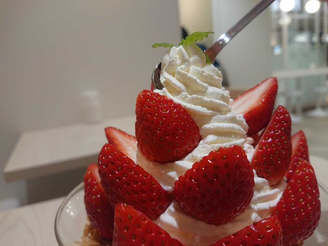 f:id:mikancyama:20191206153056j:plain f:id:mikancyama:20191206153056j:plain