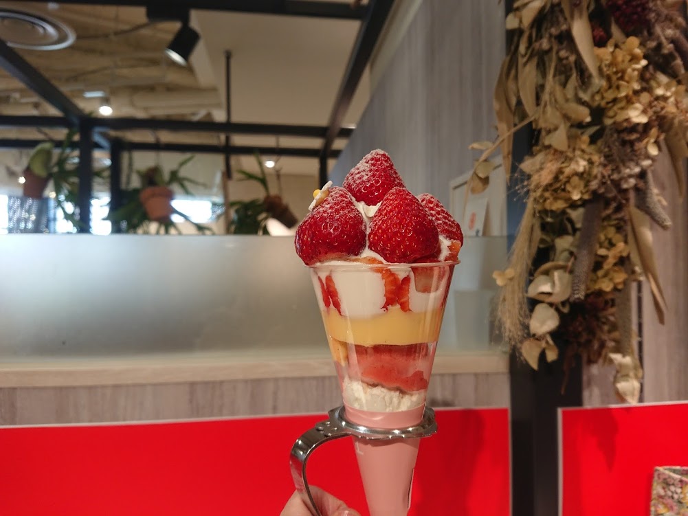 f:id:mikancyama:20200211184455j:plain