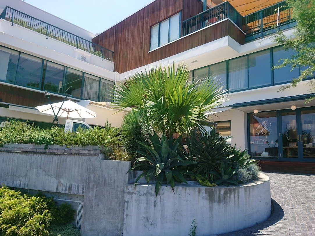 f:id:mikancyama:20200624131922j:plain f:id:mikancyama:20200624131922j:plain