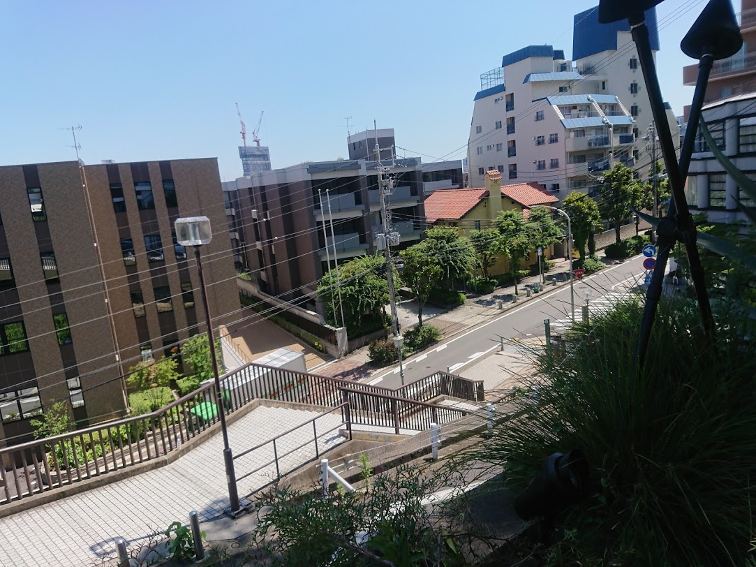 f:id:mikancyama:20200624132012j:plain f:id:mikancyama:20200624132012j:plain