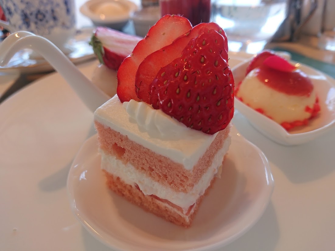 f:id:mikancyama:20210116185307j:plain