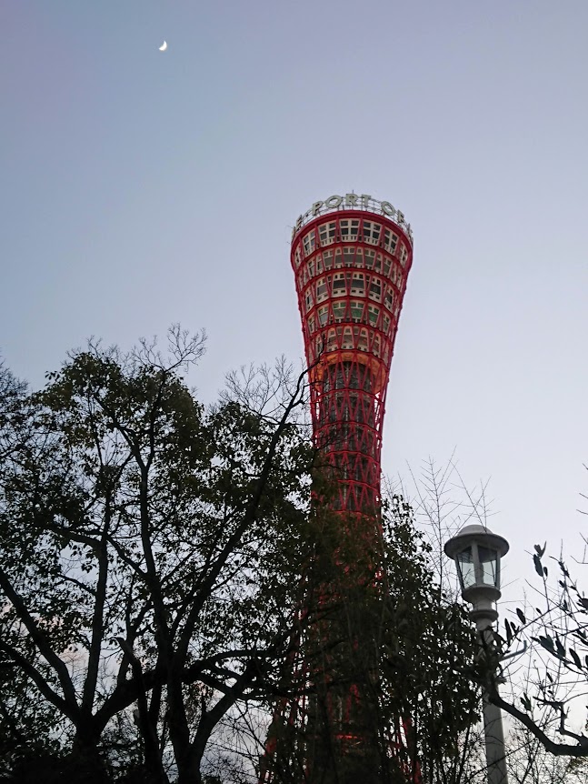 f:id:mikancyama:20210128185118j:plain