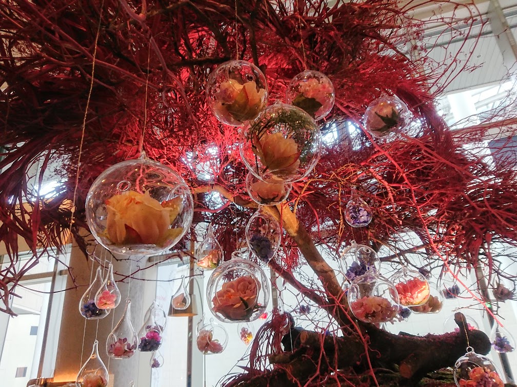 f:id:mikancyama:20210218184706j:plain