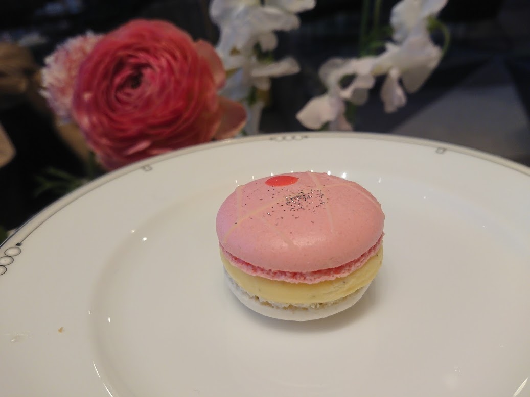 f:id:mikancyama:20210218190428j:plain