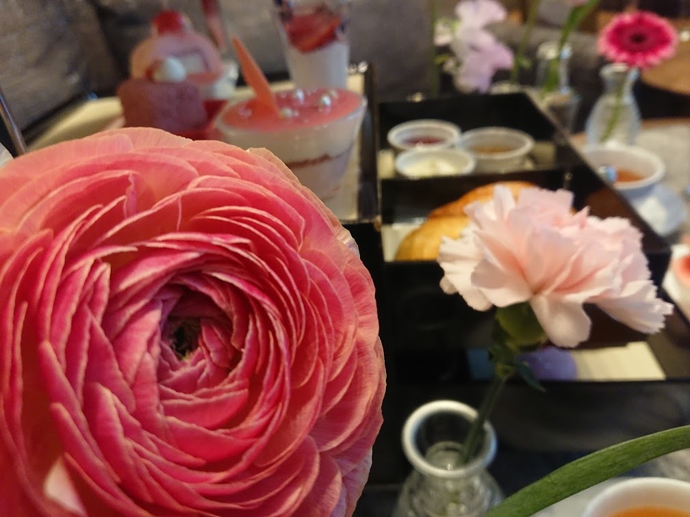 f:id:mikancyama:20210218190545j:plain