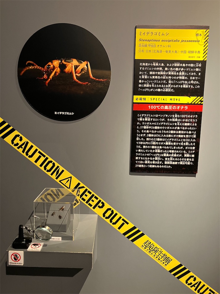 f:id:mikanikki:20260529093420j:image f:id:mikanikki:20260529093420j:image