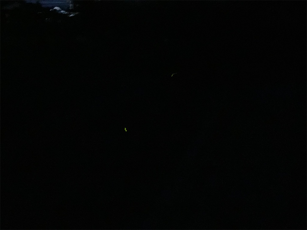 f:id:mikanikki:20260612201355j:image