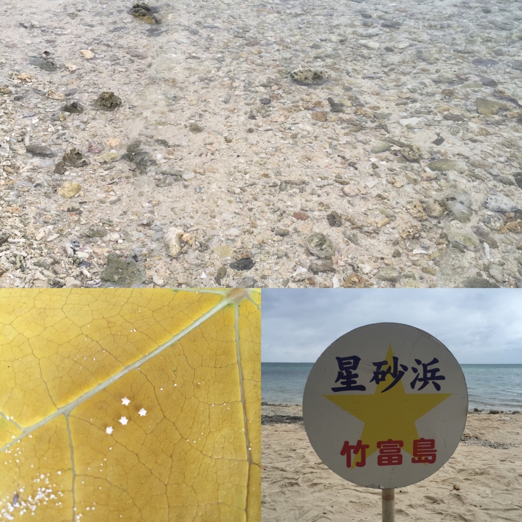 f:id:mikanmikanchan:20161110191406j:plain f:id:mikanmikanchan:20161110191406j:plain