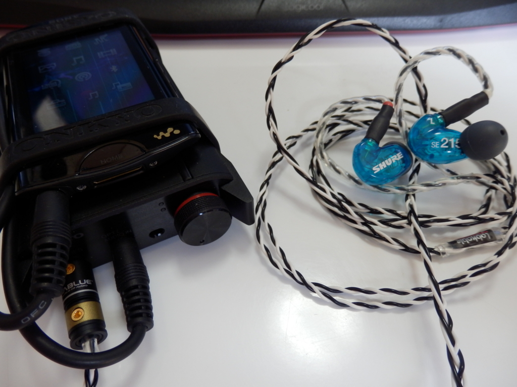 Labkable Silver Shadow MMCX (4芯) レビュー】Labkable Silver Shadow MMCX（4芯）1.2m - ～音楽
