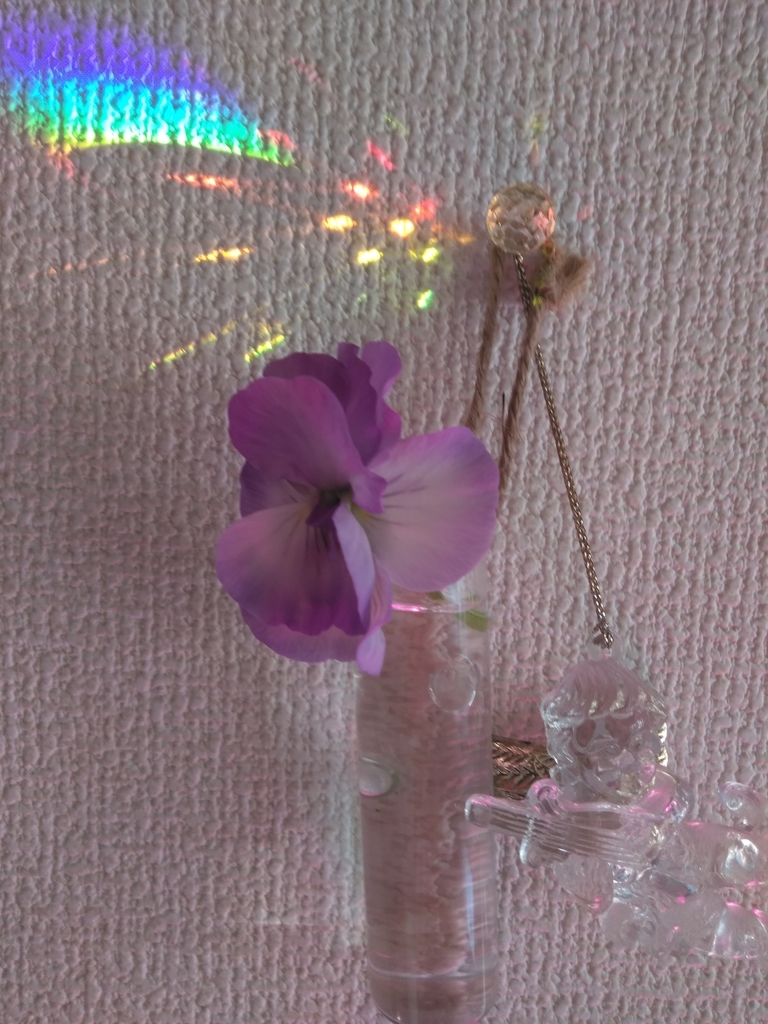 f:id:mikanococoro:20190208202055j:plain