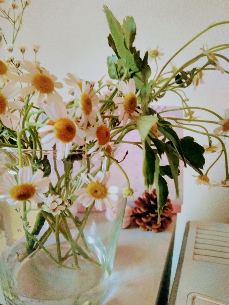 f:id:mikanococoro:20190210193232j:plain f:id:mikanococoro:20190210193232j:plain