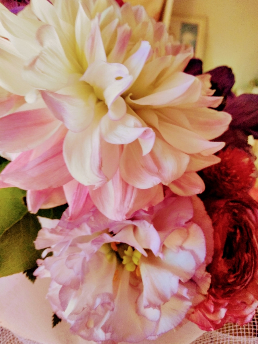 f:id:mikanococoro:20190314131645j:plain