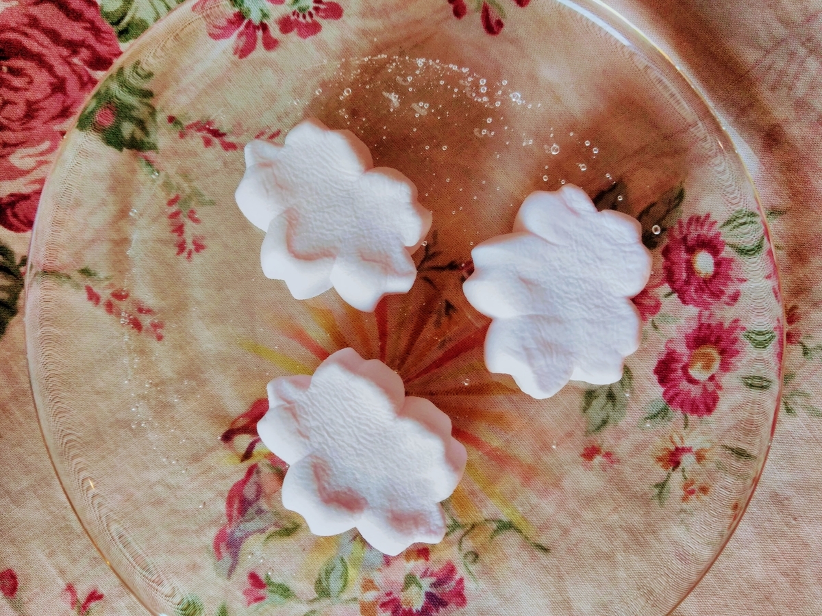 f:id:mikanococoro:20190319164120j:plain