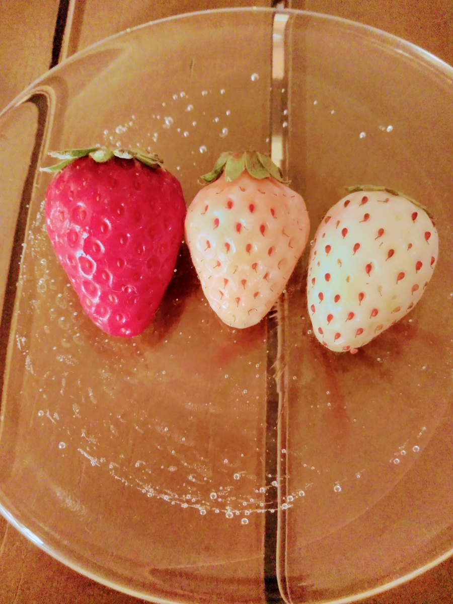 f:id:mikanococoro:20190412004512j:plain
