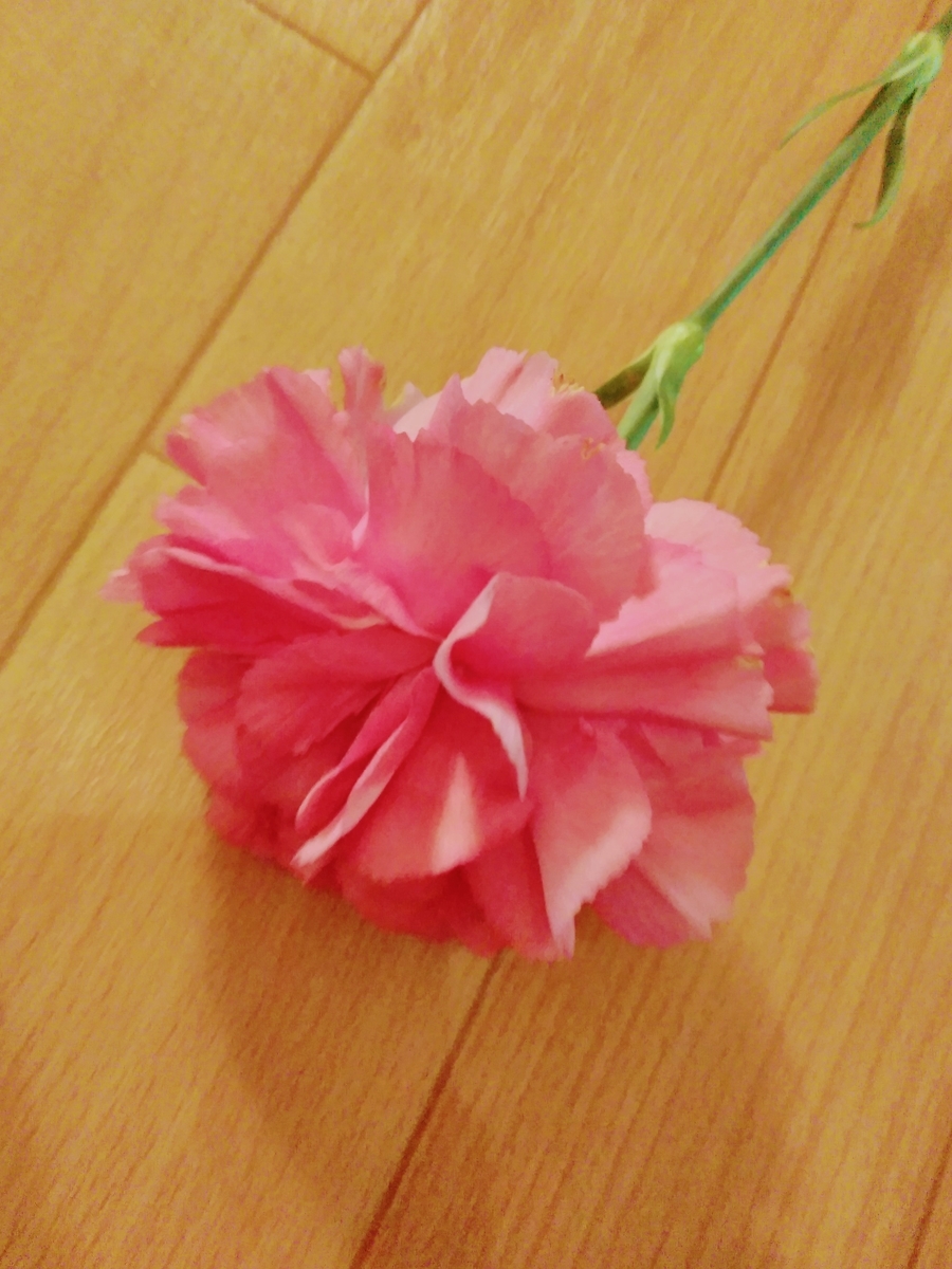 f:id:mikanococoro:20190417011739j:plain