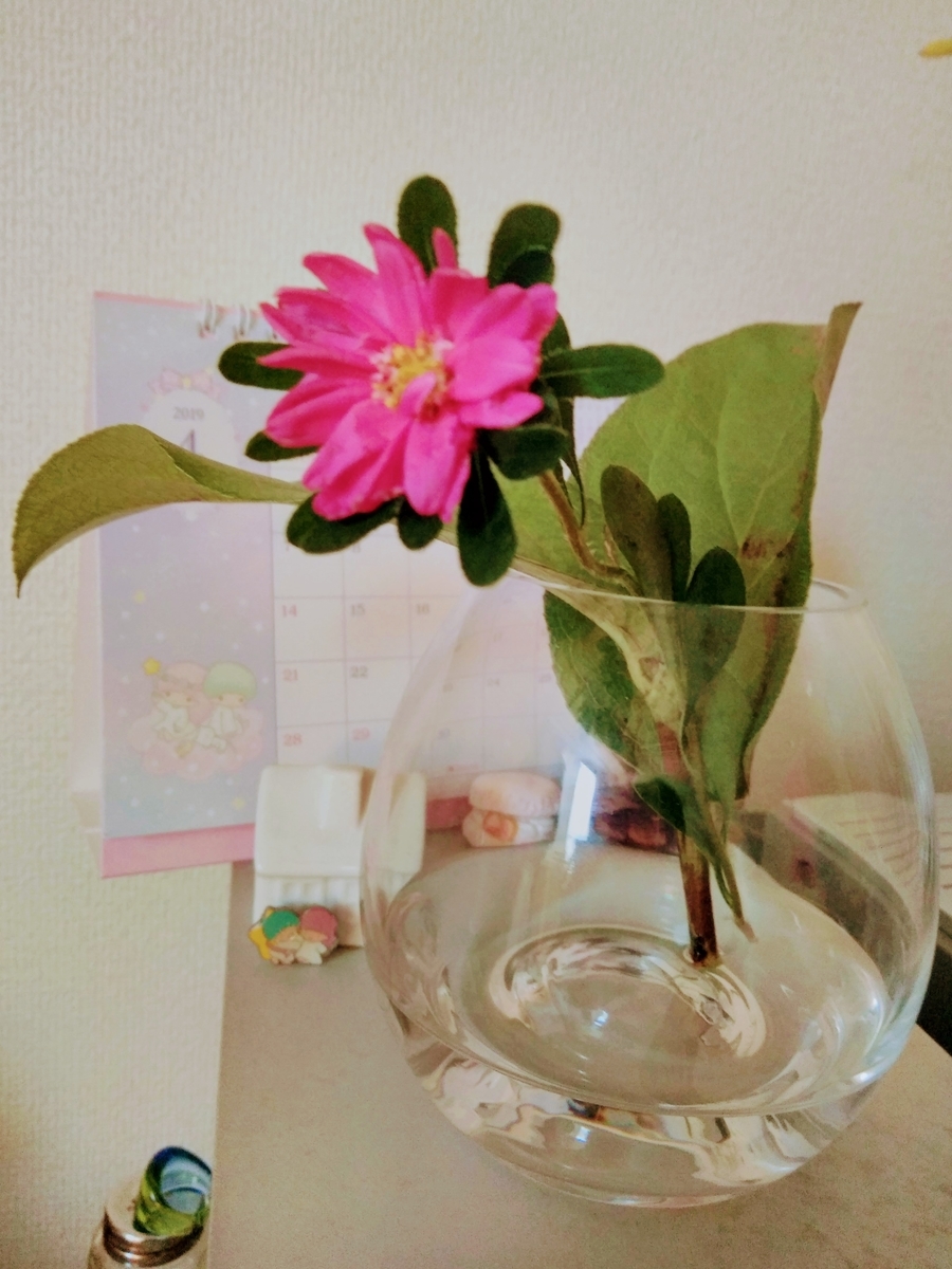f:id:mikanococoro:20190505165739j:plain f:id:mikanococoro:20190505165739j:plain