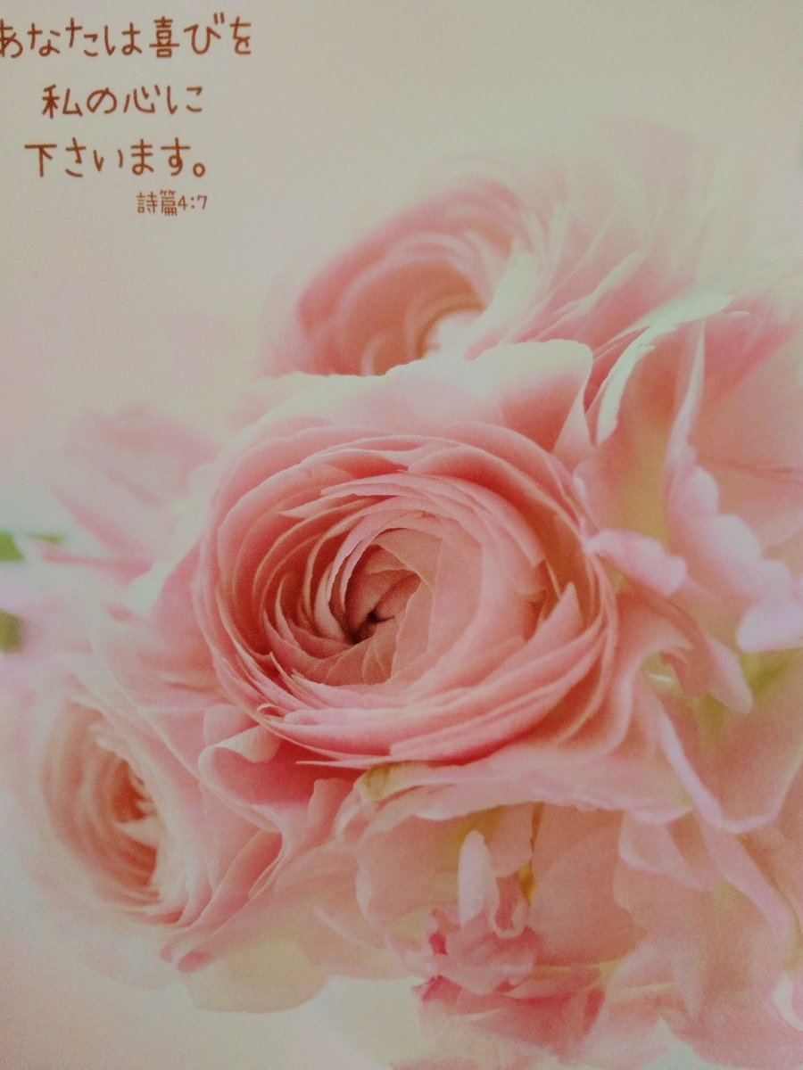 f:id:mikanococoro:20190511221735j:plain