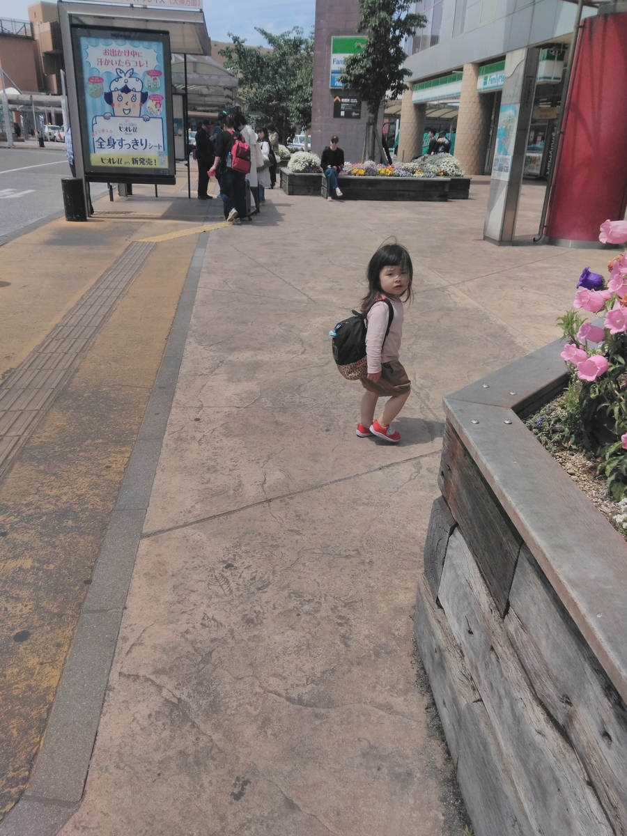 f:id:mikanococoro:20190512094030j:plain f:id:mikanococoro:20190512094030j:plain